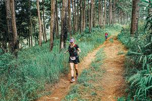 BIB: 
                            <button type="button" onclick="openModal(25687914)" class="btn btn-primary btn-sm float-right btn-popup" data-toggle="modal" data-target=".modal-high-quality">
                        <i class="fas fa-shopping-cart"></i> Add to Cart
                    </button>
                                            <button type="button" onclick="isThisMe(25687914, true)" class="btn btn-success btn-sm float-right btn-popup btn-isme hidden" data-toggle="tooltip" data-placement="bottom" title="นี่คือรูปของคุณใช่ไหม คลิกที่นี่เพื่อเอาเข้าอัลบั้ม">
                        <i class="fas fa-plus"></i> Add to album
                    </button>
                    <button type="button" onclick="isThisMe(25687914, false)" class="btn btn-warning btn-sm float-right btn-popup btn-isnotme hidden">
                        <i class="fas fa-ban"></i> Remove from album
                    </button>